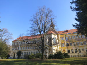 Lípa repub­li­ky před léčeb­nou v Říča­nech