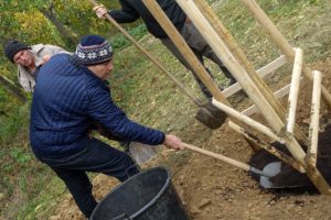 Strom svo­bo­dy OŽP ve Wil­so­no­vě lese v Brně