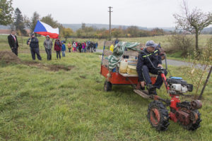 Lípa repub­li­ky v Buko­vi­ně