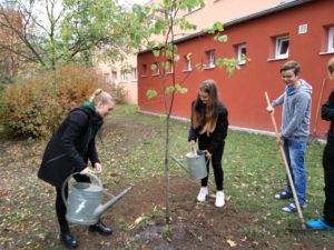 Lípa “Nadě­je” v ZŠ Obrán­ců míru v Mos­tě