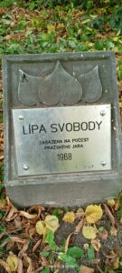 Lípa svobody ve Skřivanech